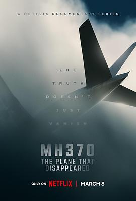 MH370：消失的航班
