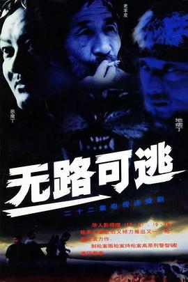 无路可逃2004在线观看