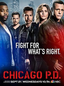 芝加哥警署第4季