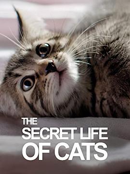 BBC地平线：猫的秘密生活在线观看