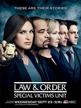 法律与秩序：特殊受害者第十七季在线观看