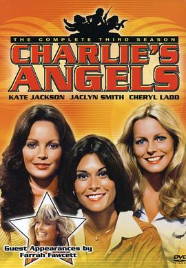 查理的天使第三季在线观看